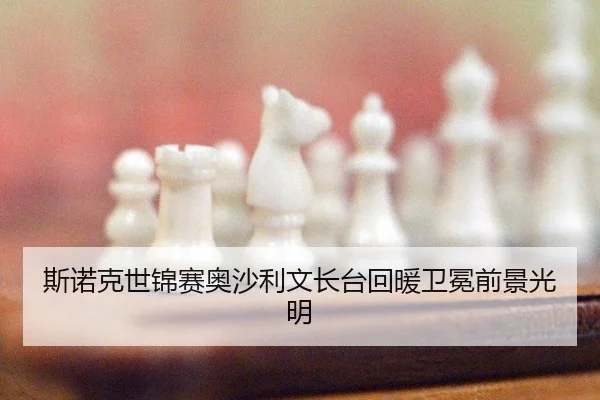si-nuo-ke-shi-jin-sai-ao-sha-li-wen-zhang-tai-hui-nuan-wei-mian-qian-jing-guang-ming-2-607.jpg